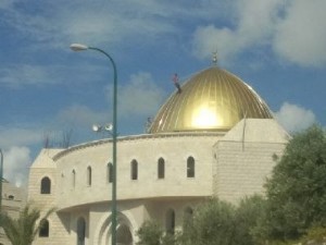 אנודייז זהב